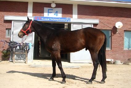 �ضߴ±��� ����