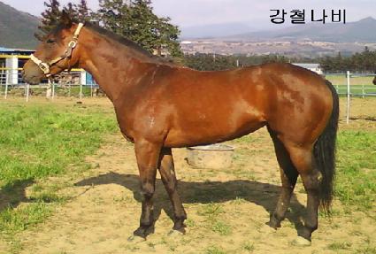 ��ö���� ����