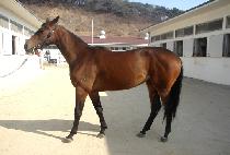 �̶�Ŭ������ (MIRACLE SUNDAY) ����