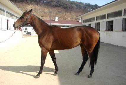 �̶�Ŭ������ ����