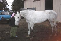 WONDER QUEEN picture