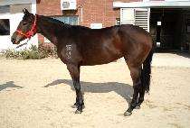 �����ѿ�� (YEONGWONHAN USEUNG) ����