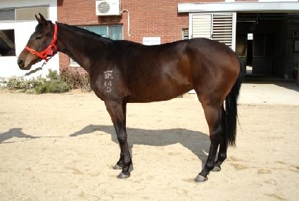 �����ѿ�� ����