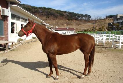 ���۹̼� ����