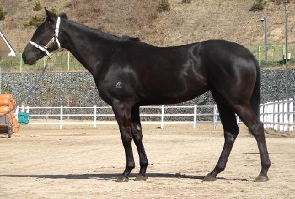 ����Ʈ�ڸ��� ����