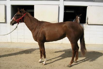 �ΰ溸�� ����