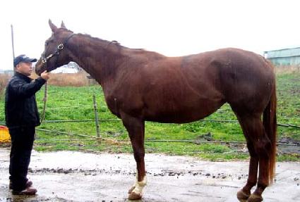 ����Ƽ������ ����