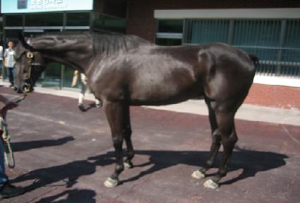 �׸������ġ ����