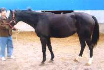 PRINCESS LANIQUE picture