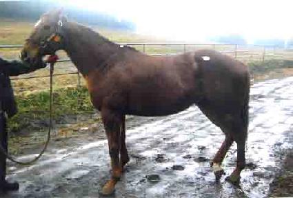 �۷ι� ����