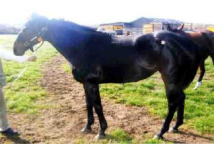 �̼�������� ����