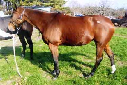 �������ö���� ����