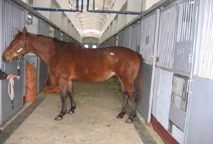 ����޵��� ����