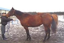 ���˵巹���� (WEEKEND RATES) ����