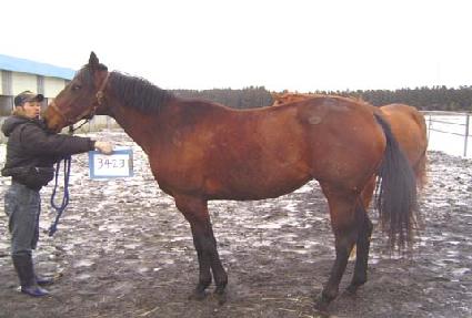 ���˵巹���� ����