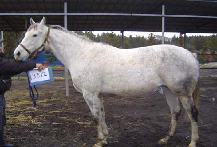 ���Ƴ� ����