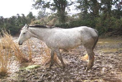 �̼Ҽ��� ����