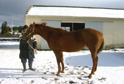 ���ͽ�Ʈ��Ʈ ����