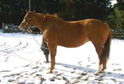 ����Ʈ�Ƿ��� ����