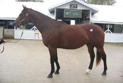 ź��� ����