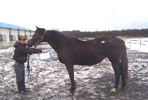 ���Ͻ��ý��͸޸� (WINLOCS SISTERMARY) ����