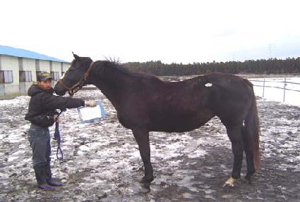 ���Ͻ��ý��͸޸� ����