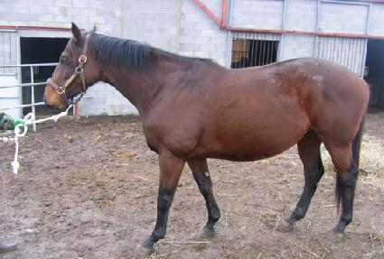 ��δ��̳� ����