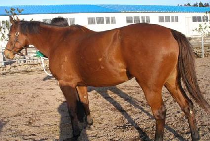 ����Ƽ�� ����