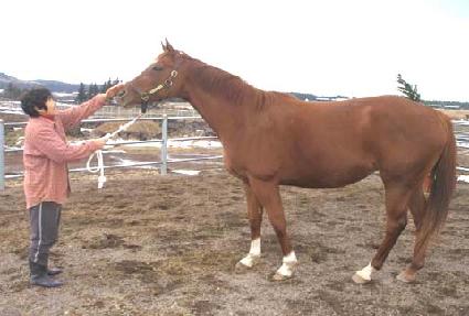 ���ɿ��� ����