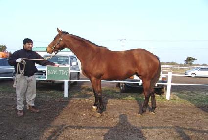 ����Ʈ�� ����