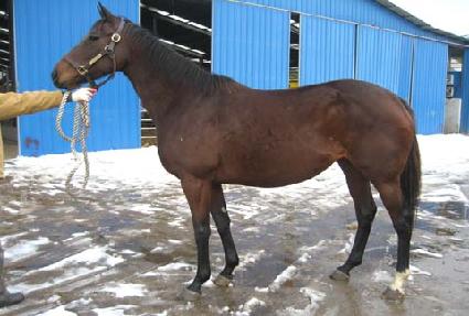 ���ν�Ʈ����ũ ����