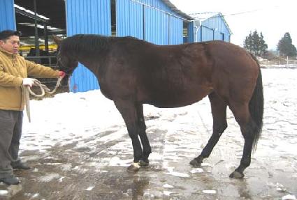 �̻��ϵ��潺 ����