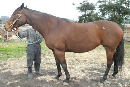 ��ġ���� ����