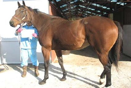 �۽�Ʈ���̽� ����