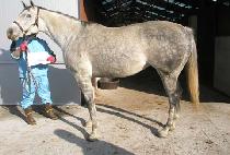 LA REINE VICTORIA picture