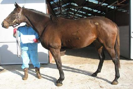 ���μ������ ����