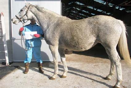 �ε�Ƹ� ����