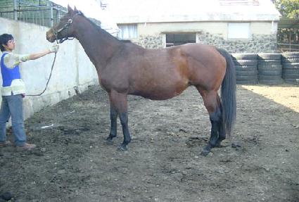 ���ͼ� ����