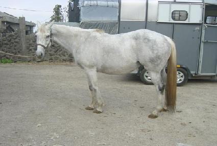 �����ο����ͺ� ����