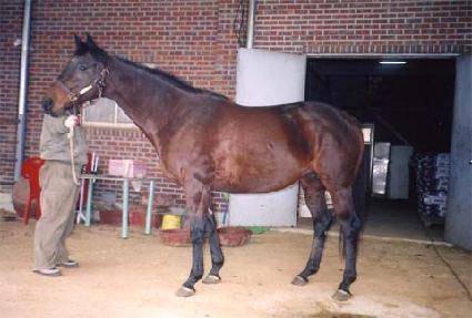 ��翣���� ����