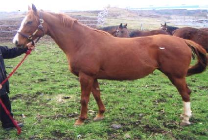 �̽������� ����