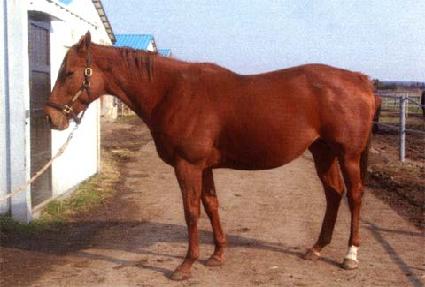 ���ʾص����þ ����