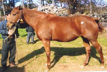 �õ����� ����