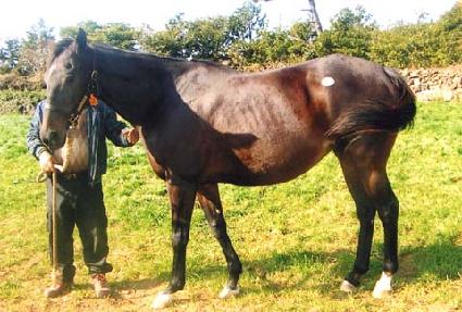 ����ũ���� ����