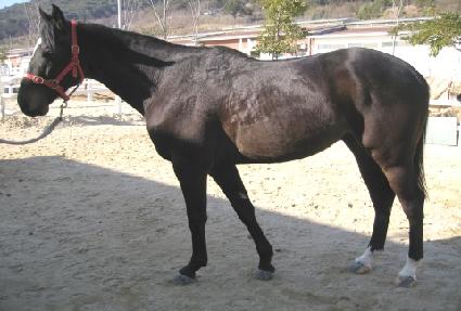 �����ְ� ����