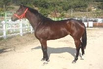 ���̽� (HOT ISSUE) ����