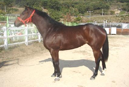 ���̽� ����