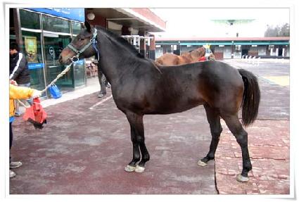 �����ѹ� ����