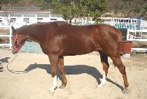 ����غ� (WIGIGEUKBOK) ����