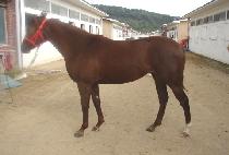 ���� (TTAENGCHO) ����